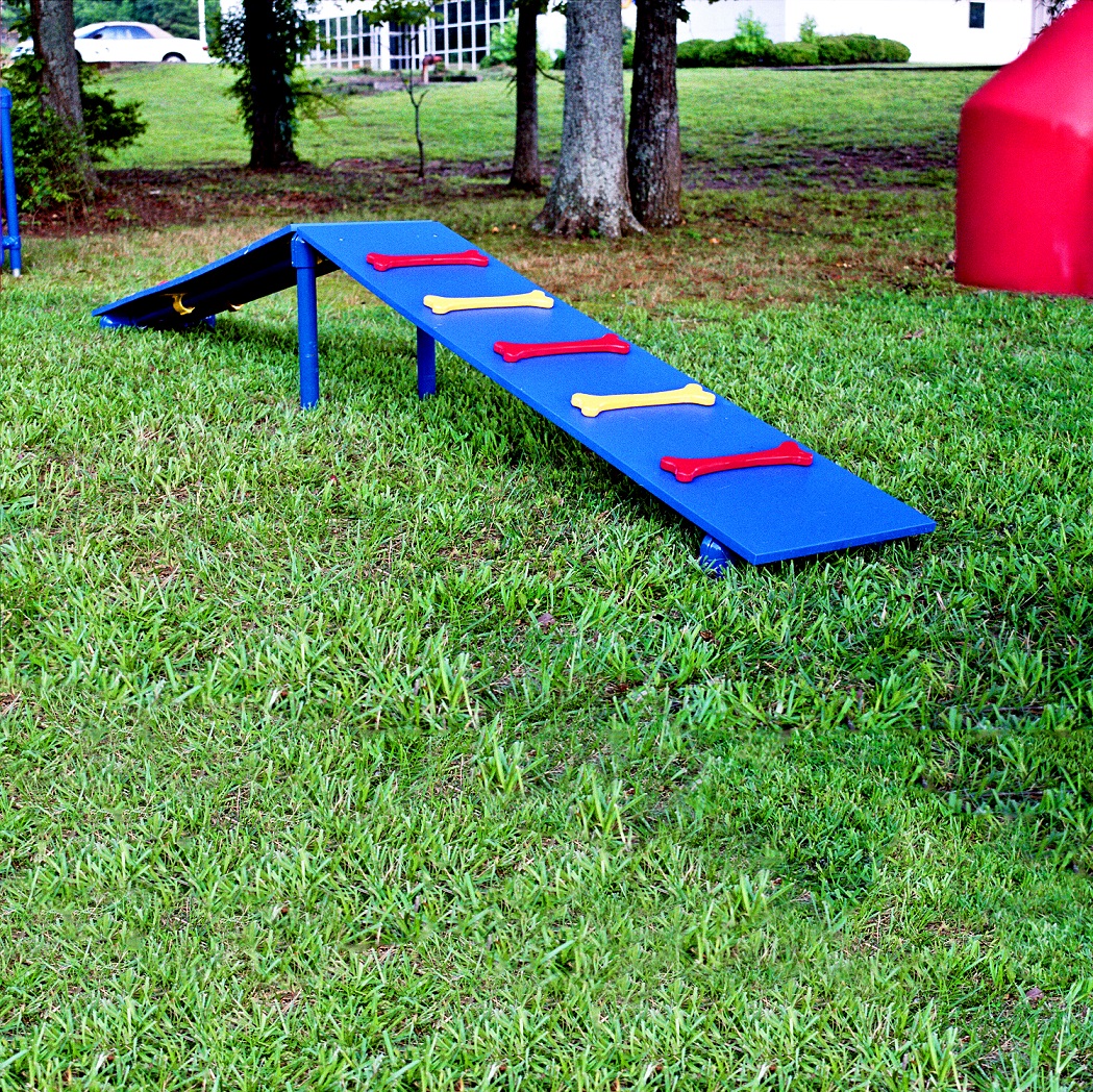 dog-agility-equipment-dog-agility-training-equipment-dog-agility